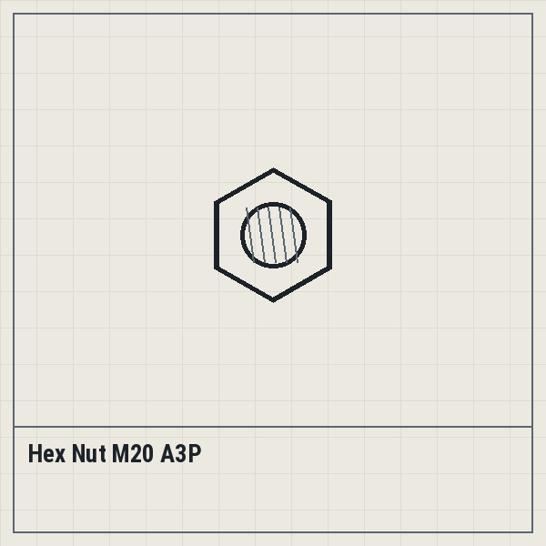 Hex Nut M20 A3P