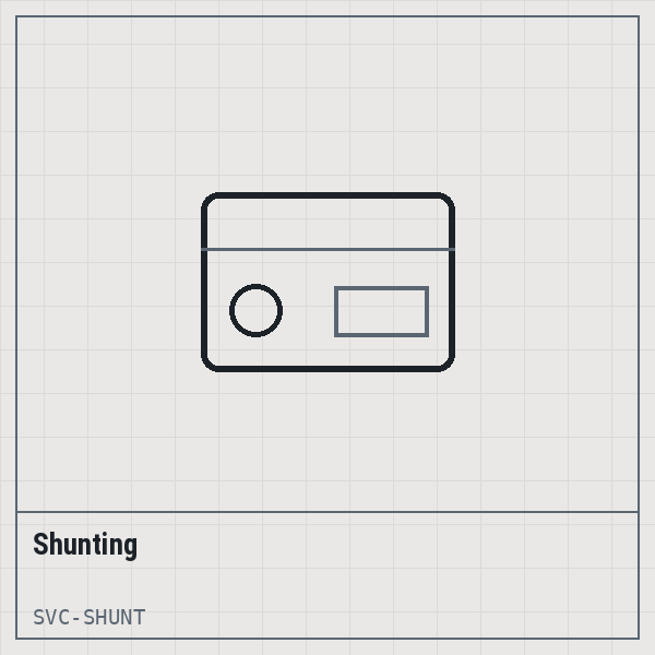 Shunting