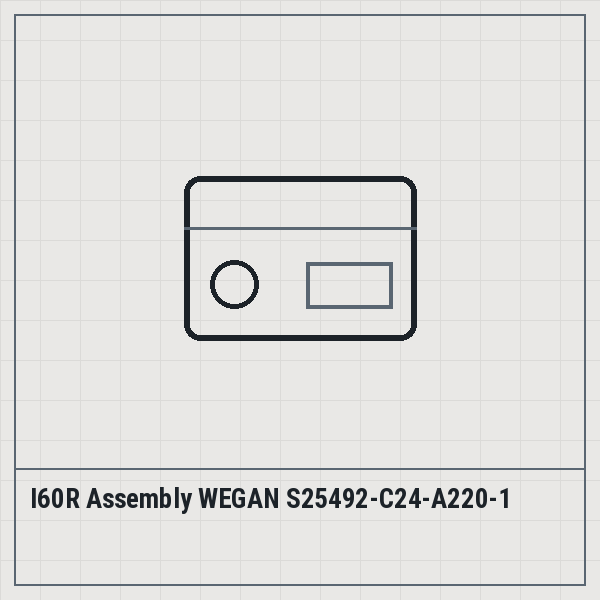 I60R Assembly WEGAN S25492-C24-A220-1